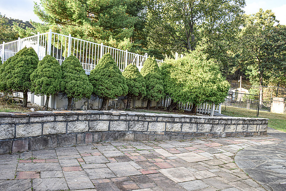 20261015-DSC_0140