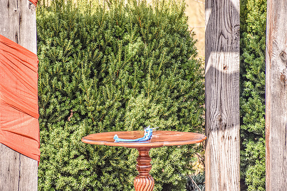 DSC_0075